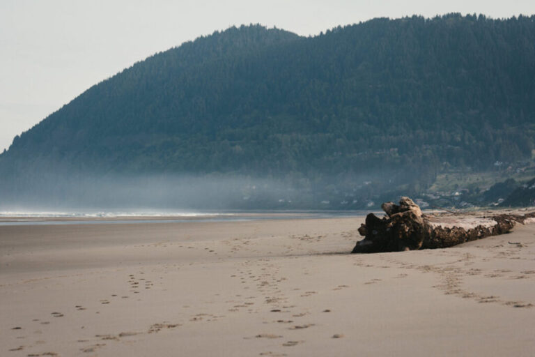 The beach at Nehalem Bay State Park campground at the Oregon Coast