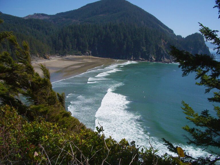 Smuggler Cove at Oswald West State Park on the Oregon Coast seen from the Oregon Coast Trail on the south side of Cape Falcon.