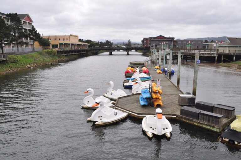 Swan Boats on the Necanicum River in Seaside Oregon