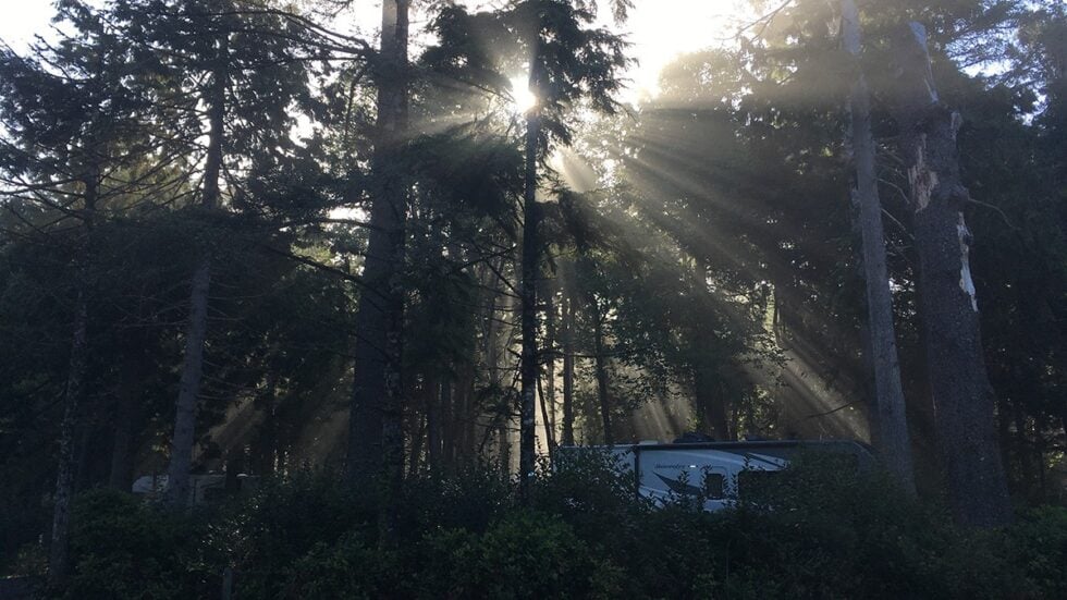 Oregon Coast Campsite at Cape Lookout State Park Campground