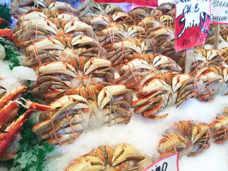 Dungeness crab for sale in Newport, Oregon Coast