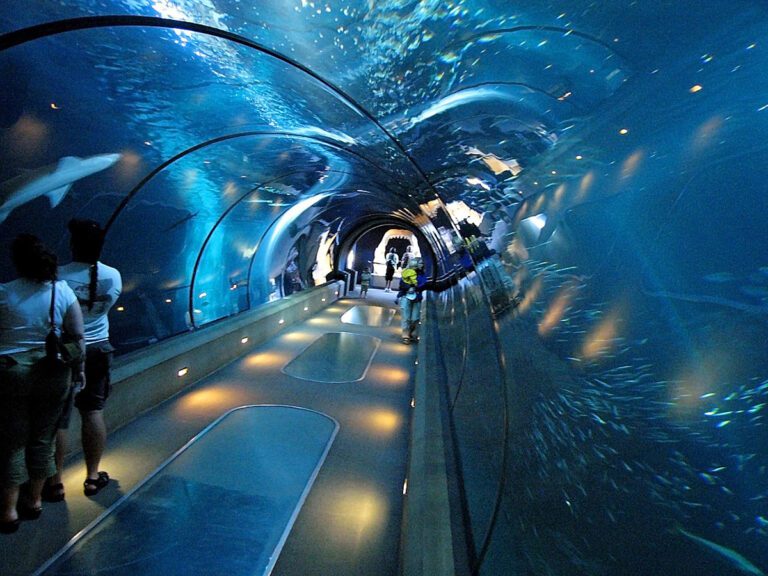 Oregon coast aquarium underwater tunnel, Newport, Oregon coast