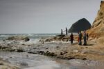 Exploring tide pools on the shores of Cape Kiwanda in Pacific City on the Oregon Coast
