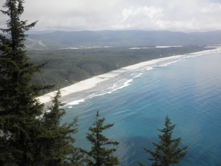 The Oregon Coastline as seen from the top of a hike at Cape Lookout State Park