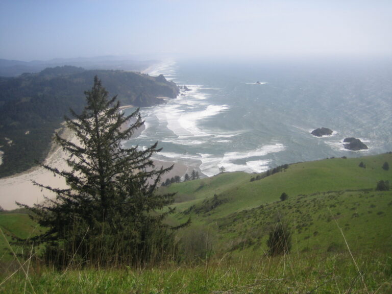 Oregon coast shoreline as seen from the top of Cascade Head Trail
