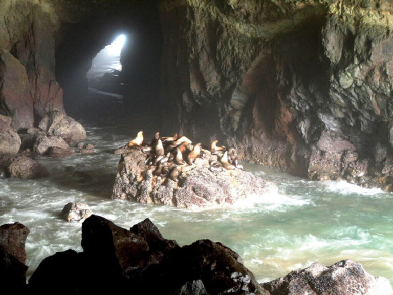 Sea Lion Caves near Florence, Oregon