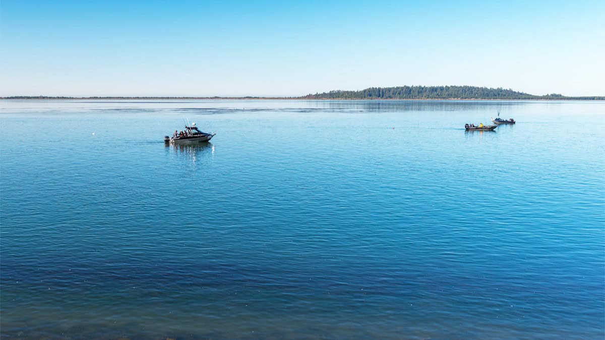 Things to Do in Tillamook, Oregon: Cheese and Beyond