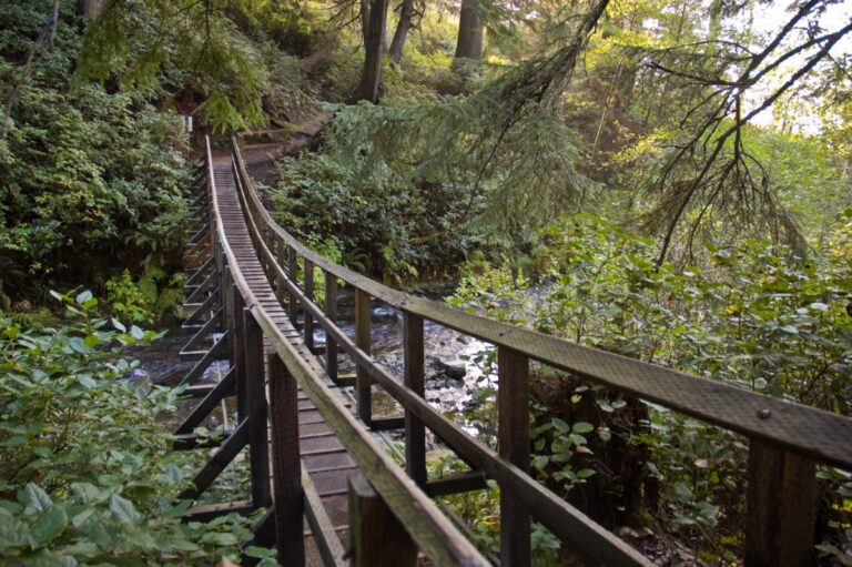 Walking bridge on a hike at Oswald West State Park on the Oregon Coast