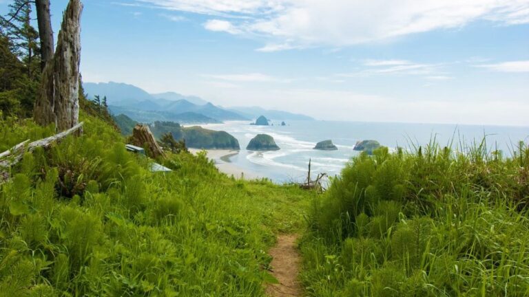Oregon's rocky coast as seen from a hiking trail scenic viewpoint in Ecola State Park.