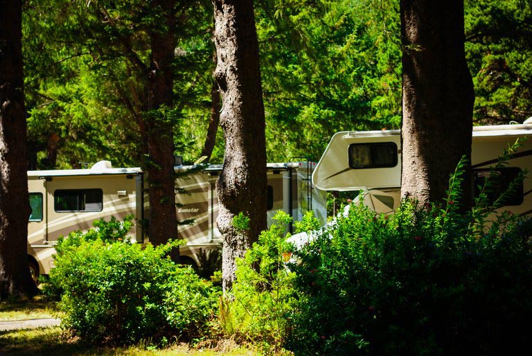 RVs in the wooded campground at Humbug State Park, north of Gold Beach, Oregon