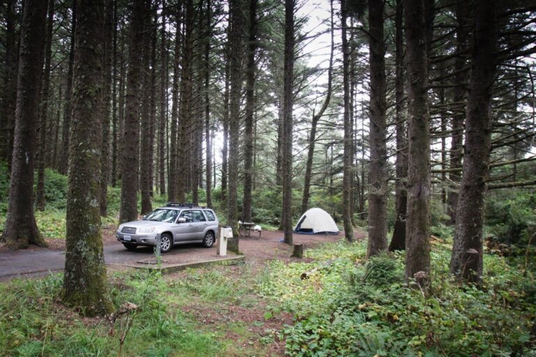 A wooded campsite at Cape Blanco State Park campground near Port Orford, Oregon