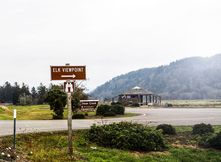 The Dean Creek Elk Viewing Area pullout on highway 38 near Reedsport, Oregon