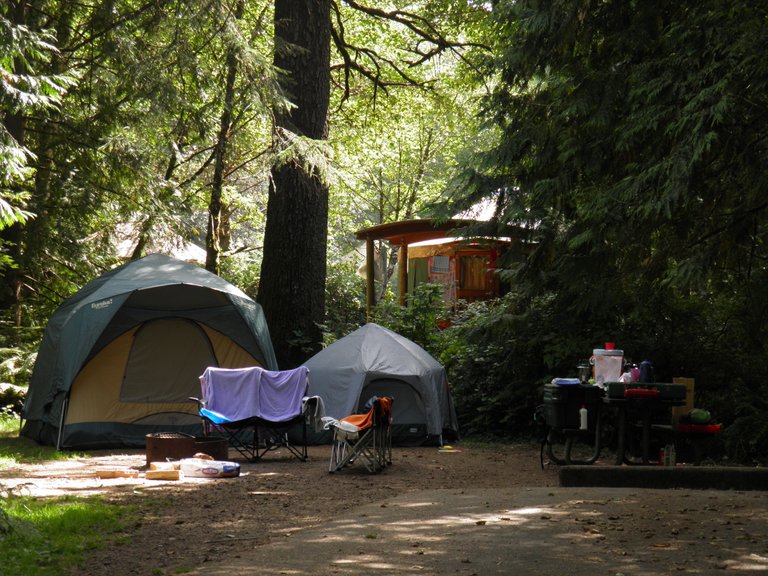 Campground at Cape Lookout State Park on the Oregon Coast