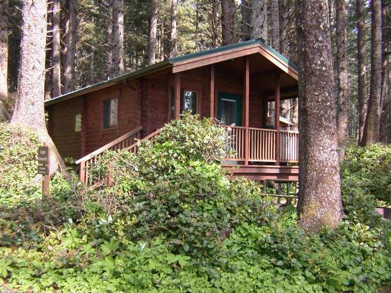 Cabin in the forest at Cape Lookout State Park on the Oregon Coast