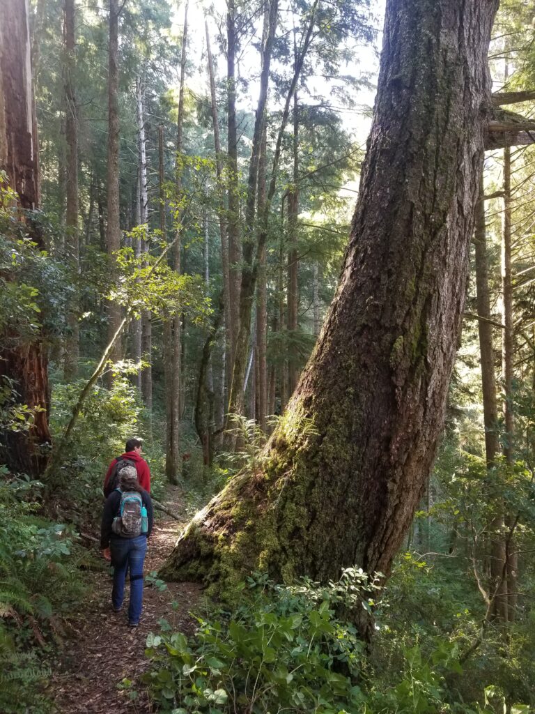 A couple hiking on a trail at Humbug Mountain on the Oregon Coast