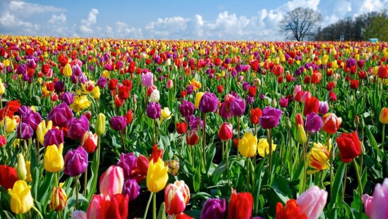 Oregon Coast Weather - The Best Time to Visit