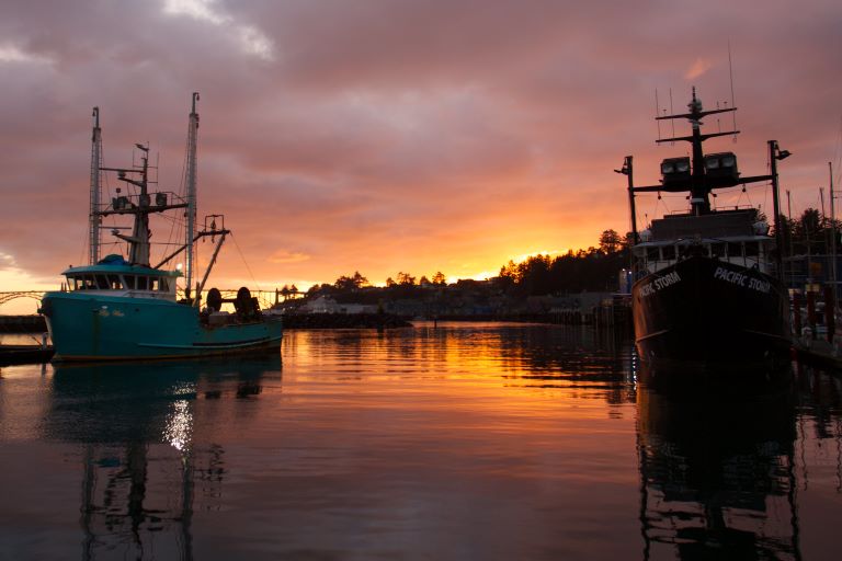 Newport Seafood & Wine Festival takes place this weekend here at Yaquina Bay beginning February 22, 2024, at the Oregon Coast