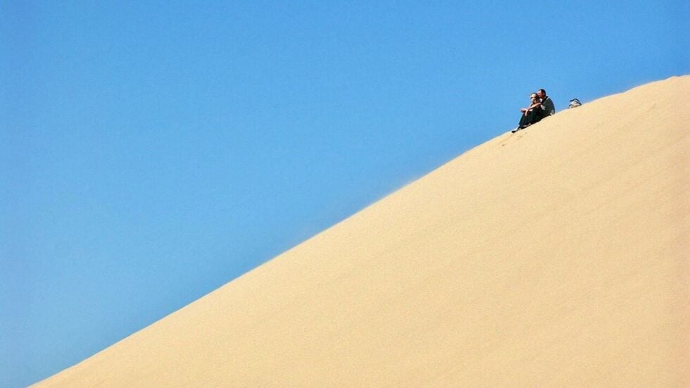 Sitting high up on a sand dune in the Oregon Dunes National Recreation Area
