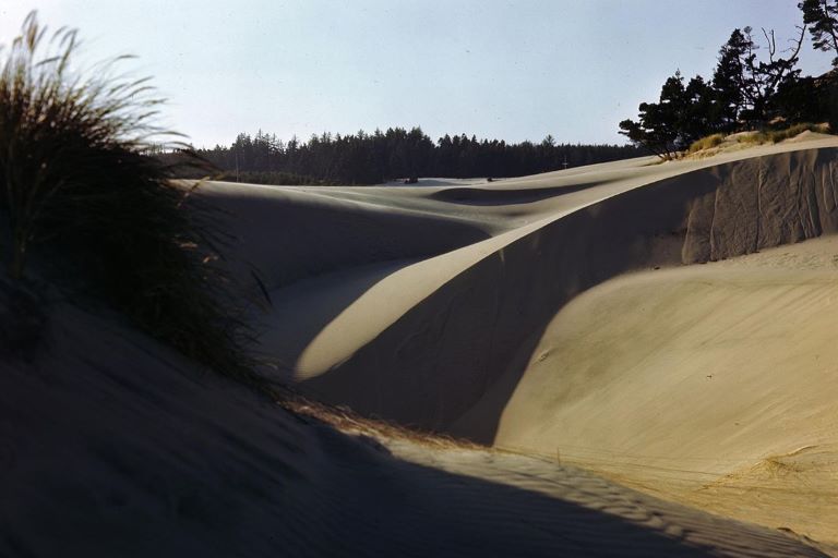 Sand dunes form shadows in the Oregon Dunes National Recreation Area near Florence, Oregon
