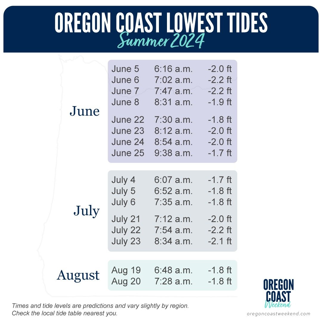 enjoy-the-lowest-tides-on-the-oregon-coast-this-summer-2024