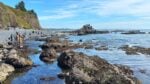 Cobble Beach Tidepools at Yaquina Head Outstanding Natural Area, Oregon Coast
