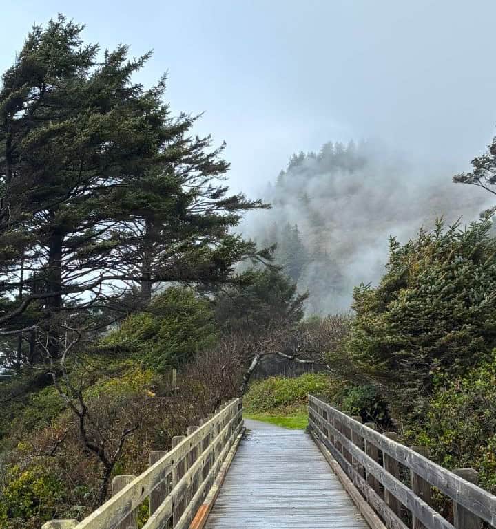 The Captain Cook Trail in Cape Perpetua Scenic Area leads to Thor's Well, Spouting Horn and tide pools on the Oregon Coast.